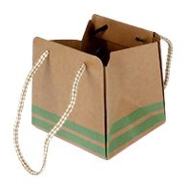 Bag Sporty carton 9,5x8,5xH9,5cm light green
