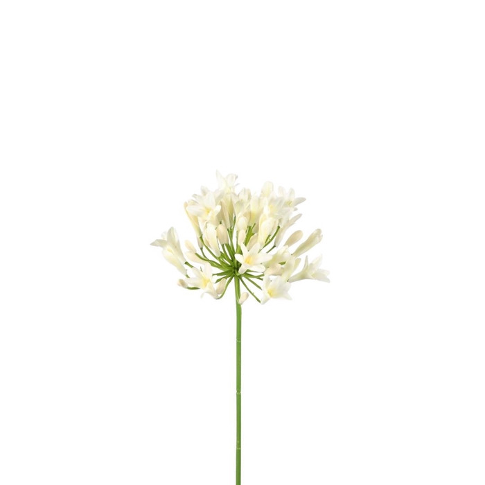 <h4>Artificial flowers Agapanthus 75cm</h4>