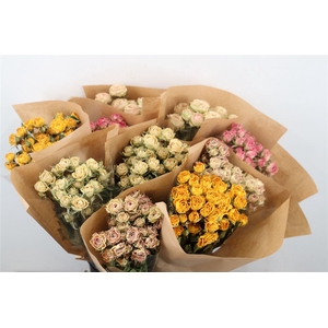 DRIED FLOWERS - ROSES MIX X10