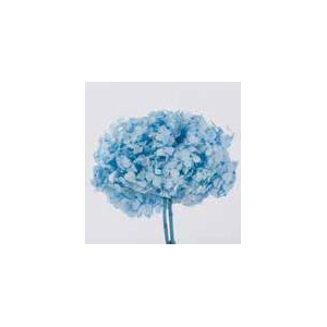 Hydrangea / Hortensia Azul Pastel HRT/0630