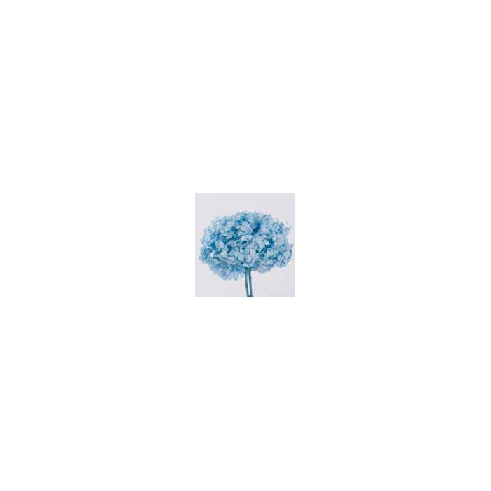 <h4>Hydrangea / Hortensia Azul Pastel HRT/0630</h4>