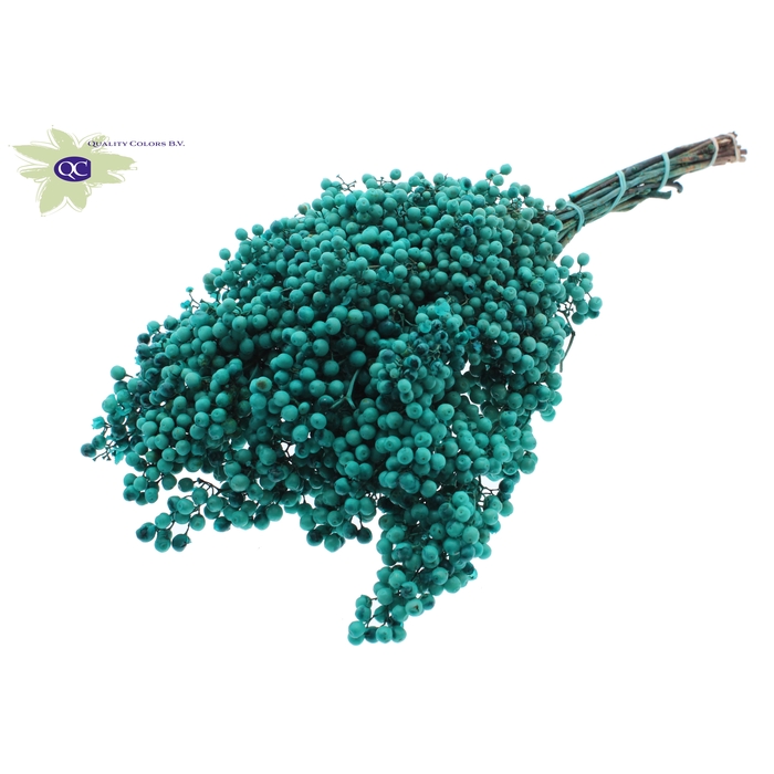 <h4>Pepperberries per bunch in poly Turquoise</h4>
