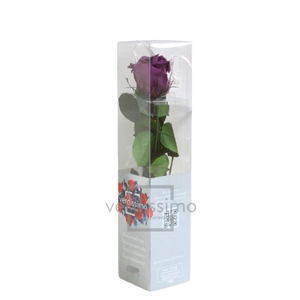 Roos op steel mini 27,5cm Lilac