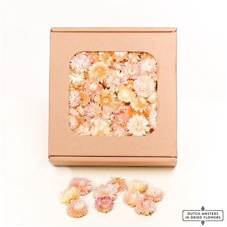 <h4>Dried Helichrysum Heads L. Pink Box</h4>