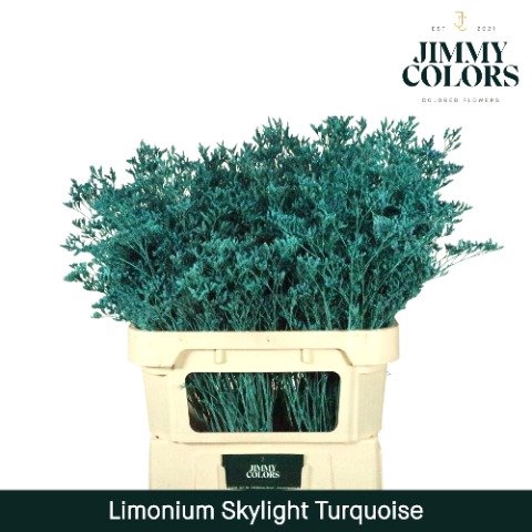 <h4>Limonium skylight paint turquoise</h4>