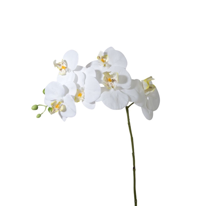 <h4>Kunstbloemen Phalaenopsis 68cm</h4>