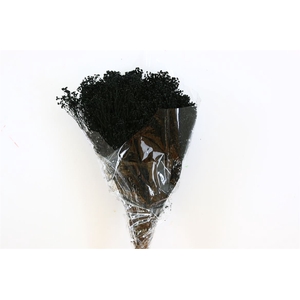 Dried Brooms Black Bunch