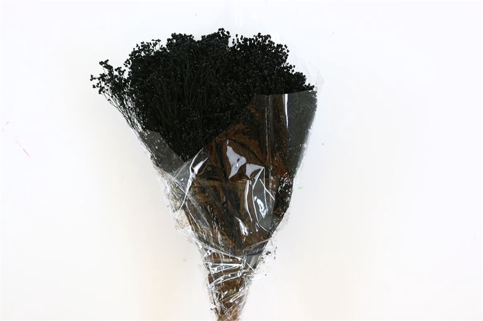 <h4>Dried Brooms Black Bunch</h4>