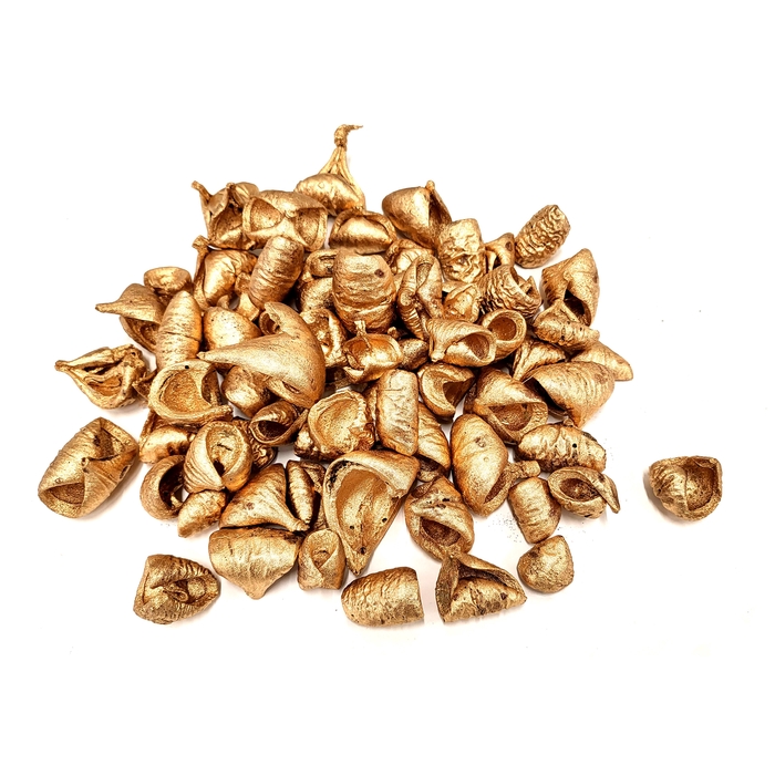 <h4>Lansunia petal 500gr in poly Antique Gold</h4>