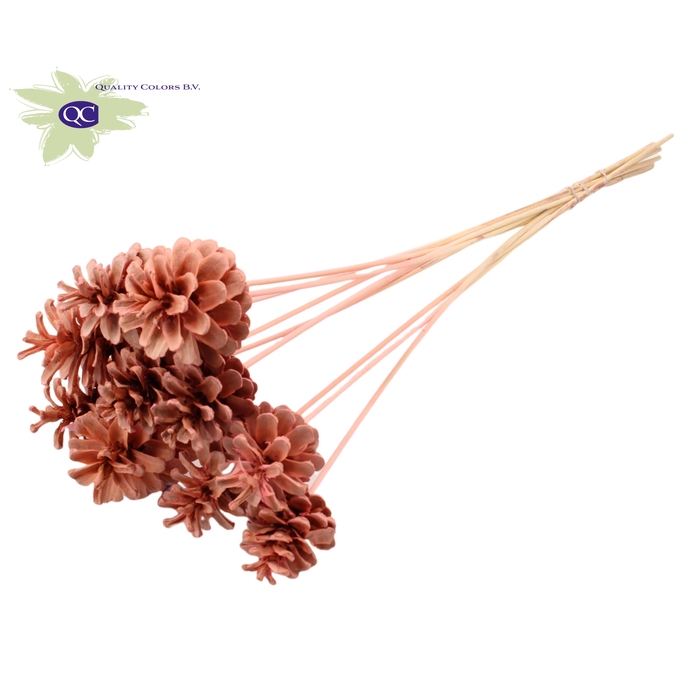 <h4>Pine cone 5-7cm on stem Intense Pink</h4>