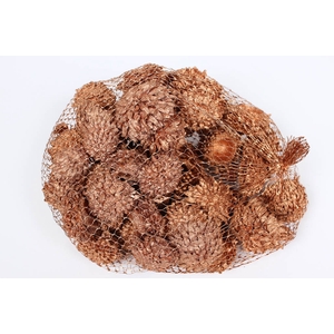 Acorn Cones 500gr in net Copper