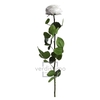 Rose on stem xl bulk 55cm white