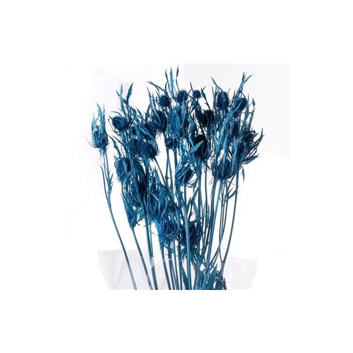 <h4>Eryngium Preserved Dusk Blue</h4>
