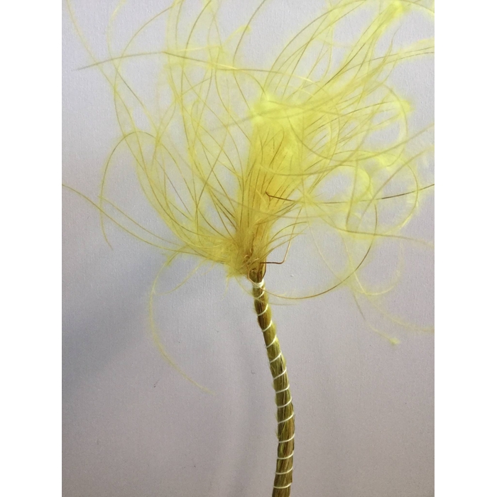 <h4>DRIED FLOWERS - STYPHA YELLOW</h4>