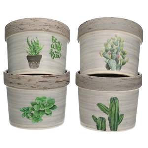 Ceramics Cactus pot d10*8.5cm ass.