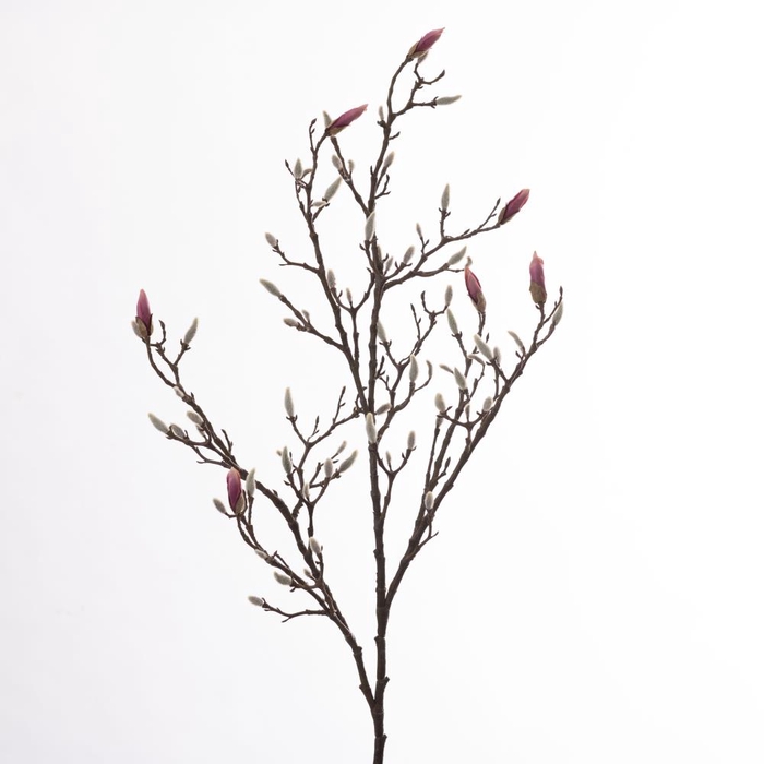 <h4>Af Magnolia Bud L135cm D.pink</h4>