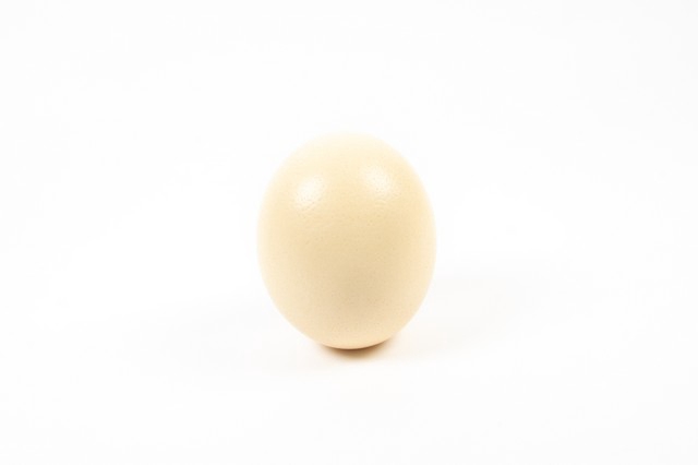 <h4>Egg ostrich 12pcs / half box</h4>