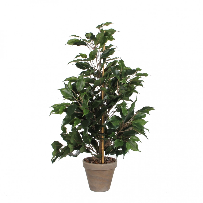 <h4>Artificial plants Pot Ficus exotica d13/40*65cm</h4>