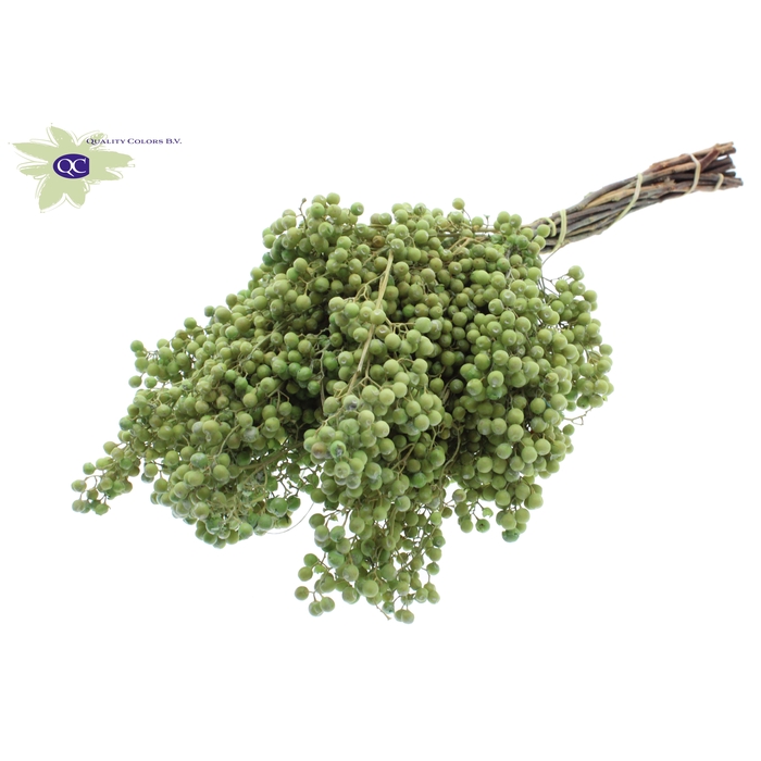 <h4>Pepperberries per bunch in poly Light Green</h4>