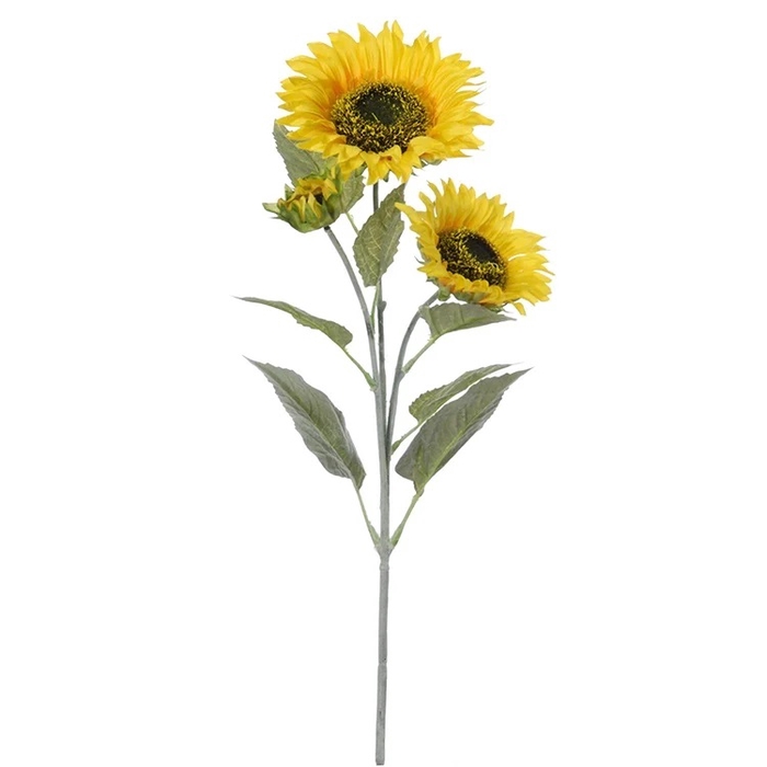 <h4>Af Sunflower X3 L66cm Yellow</h4>