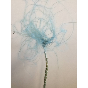 DRIED FLOWERS - STYPHA PASTEL BLUE
