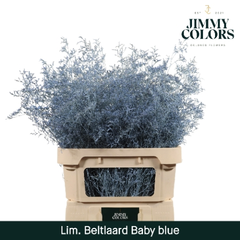 <h4>Lim Bel L90 Klbh. Baby blauw</h4>