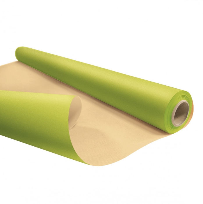 Paper Roll 80cm 25m Eco waterp.