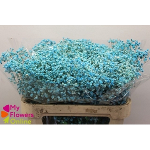 Gyps Pa Excellence Tinted Turquoise 80cm EC