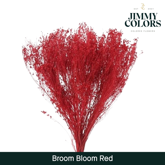 <h4>Broom bloom Rood</h4>