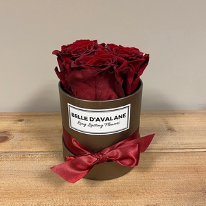 Flowerbox rd 10cm brown-burgundy