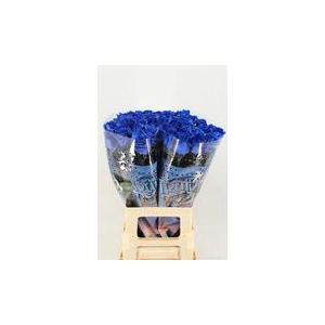 Rose painted Vendela blue