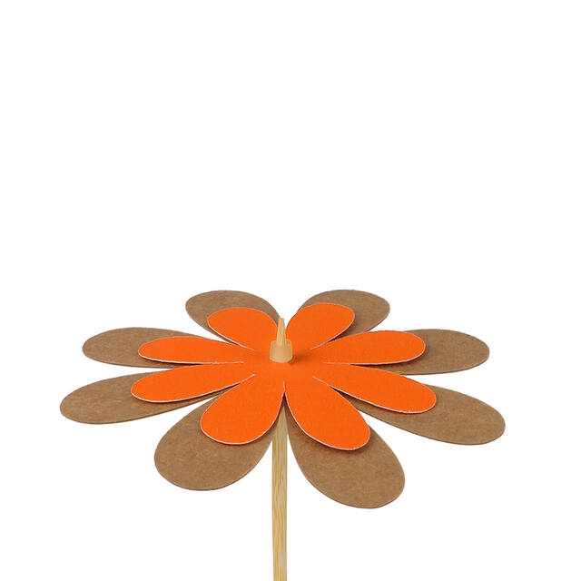Bijsteker bloem kraft 8cm+50cm stok oranje
