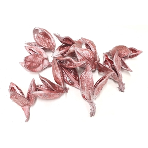 Sororoca penca flower 10pcs in poly Metallic Antique Red