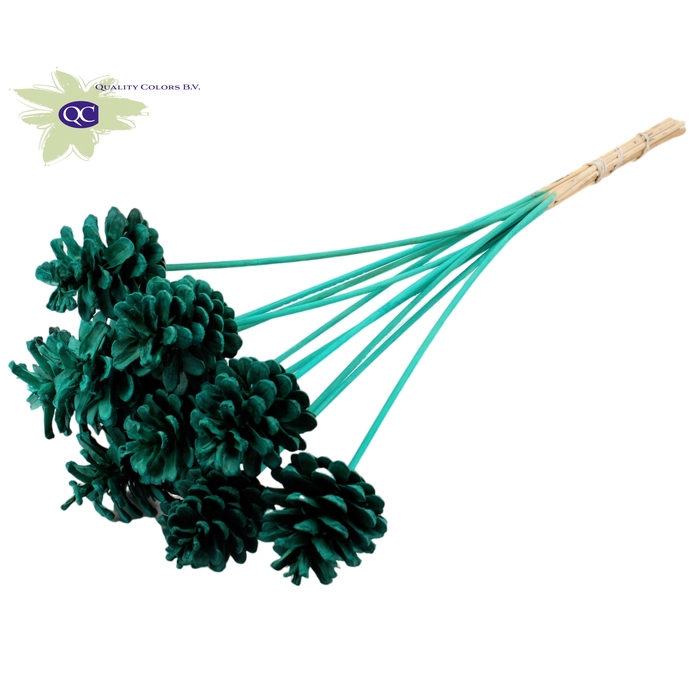<h4>Pine cone 5-7cm on stem Intense Turquoise</h4>