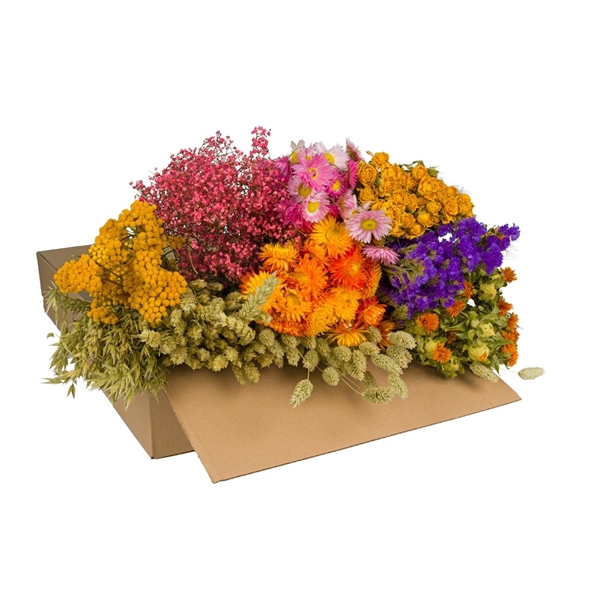 <h4>Droogbloemen-Dried Flowers Mix Box-50-60cm-Multi</h4>