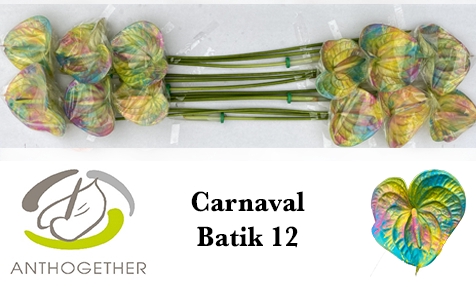 <h4>Anthurium batik carnaval</h4>