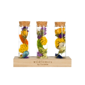 WISH BOTTLE MINI EASTER (EXCL. WOODEN STAND)