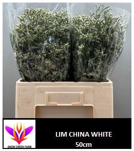 <h4>LIM SIN CHINA WHITE</h4>