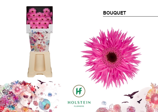 <h4>Ge Mi Bouquet</h4>