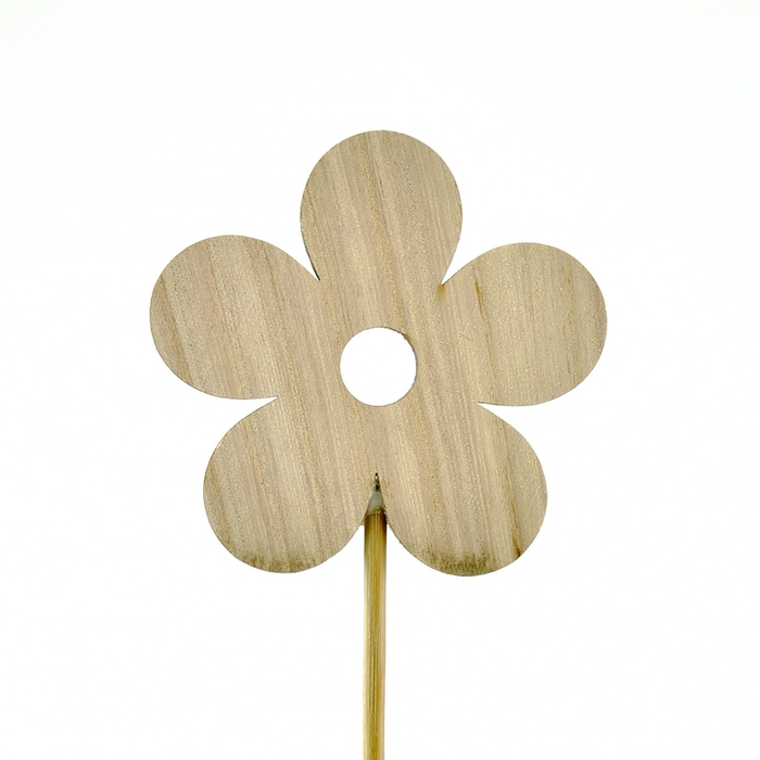 Sticks 20cm Flower 8cm