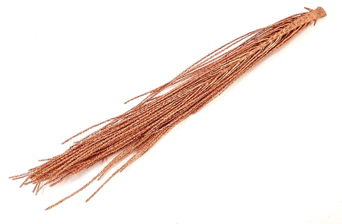 Podisiri branches 60-70cm p.pc Copper
