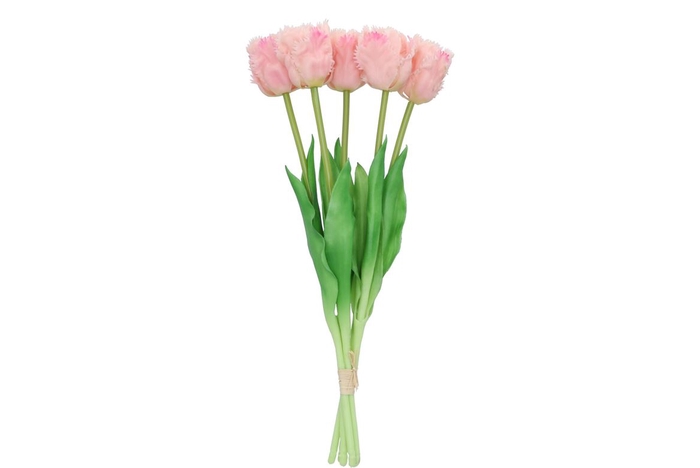 Silk Tulip Papagayo 5x Pink 39cm