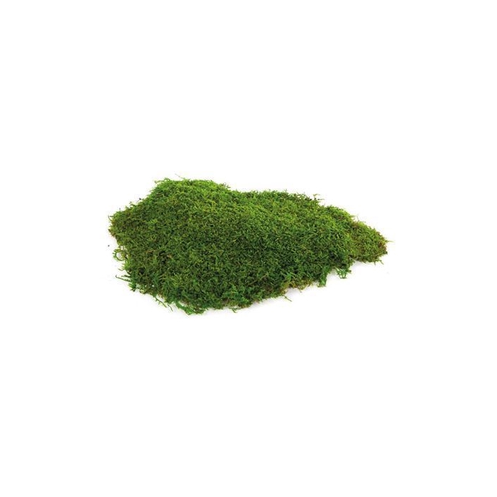 <h4>Green Moss 2,5 Kg</h4>