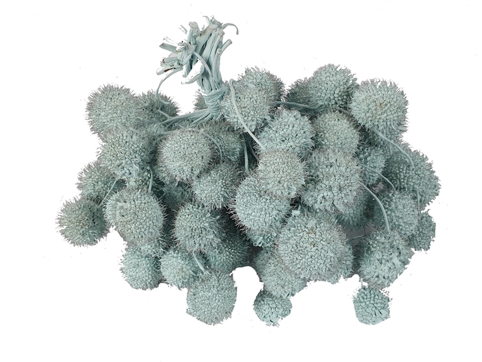 <h4>Small ball per bunch in poly light blue</h4>