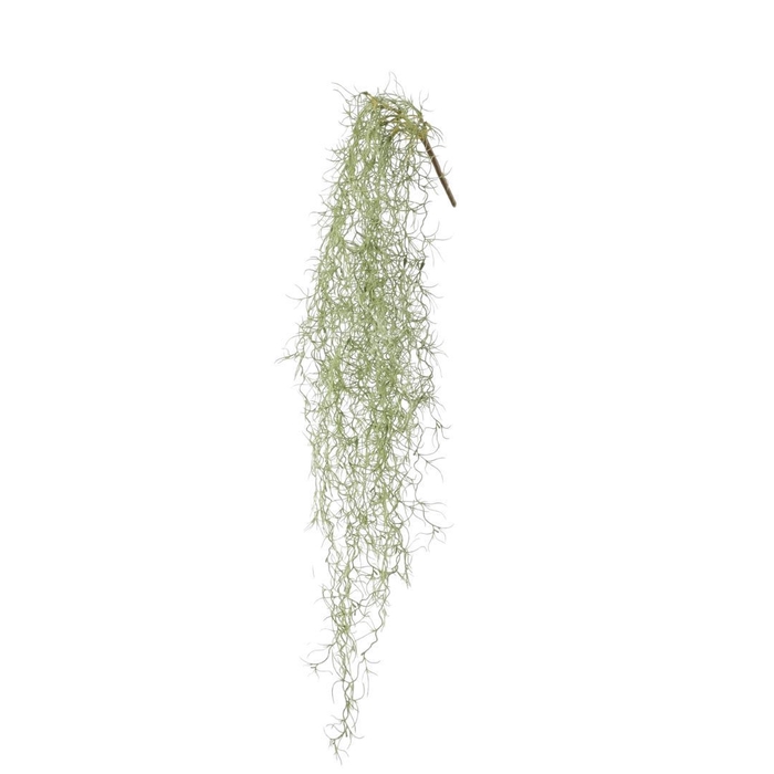<h4>Kunstplanten Tillandsia usneoides 86cm</h4>