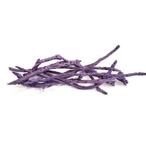 Sola Siva Stick 40cm 10 pc in poly Purple