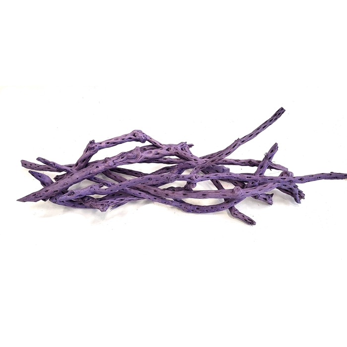 <h4>Sola Siva Stick 40cm 10 pc in poly Purple</h4>