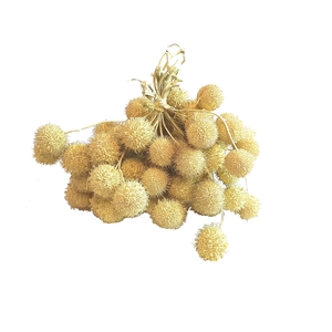 Small ball per bunch in poly Light Yellow
