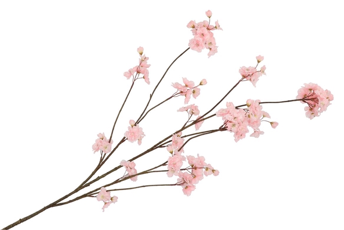 Silk Cherry Blossom Light Pink 126cm