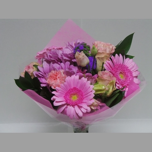 Bouquet Shorties Pink
